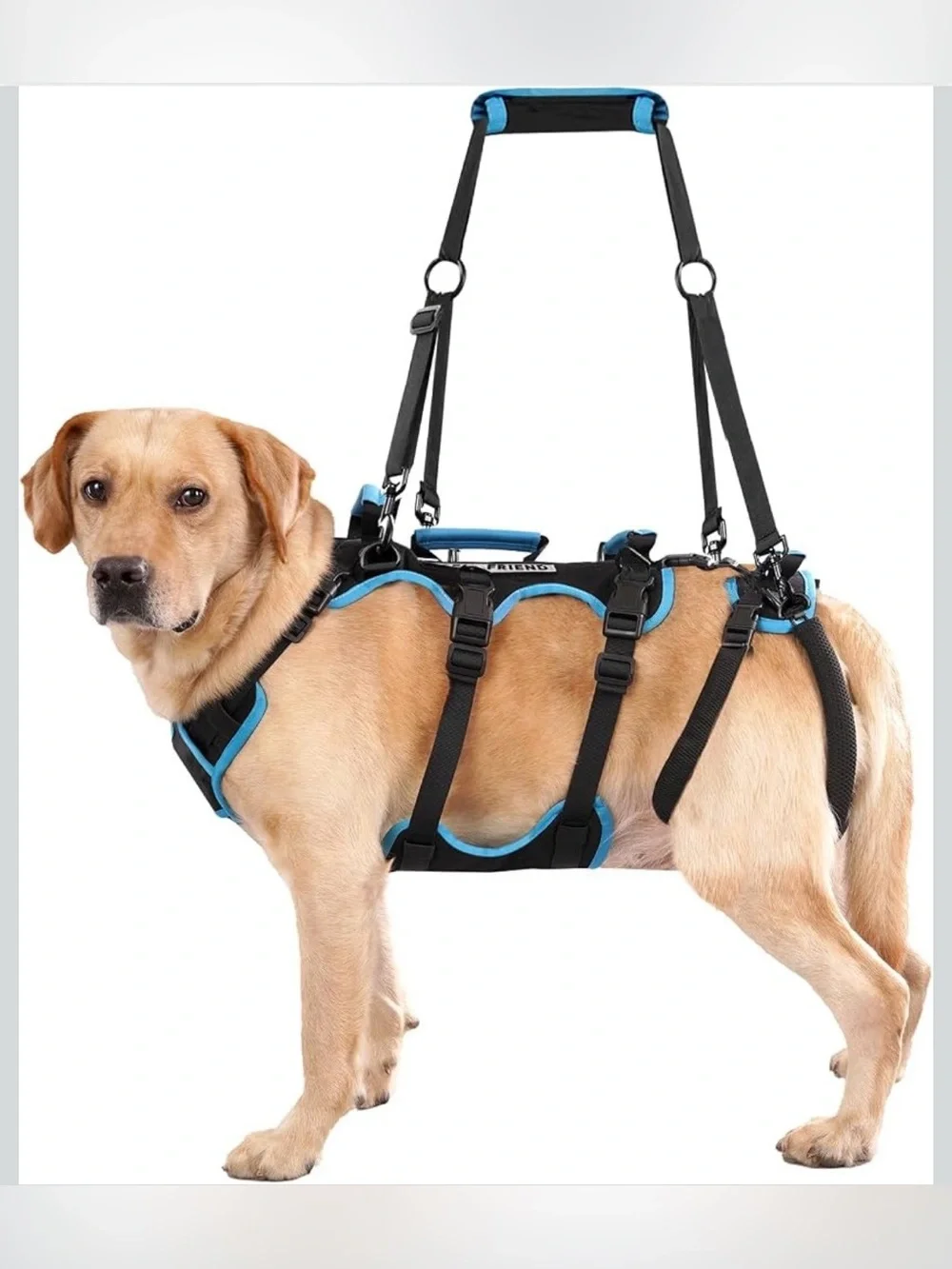 Dog Lift Harness for Large Male Dogs, 2-in-1, Back Leg Support & Mobility Assist